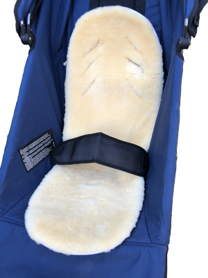 Padded Lap Belt